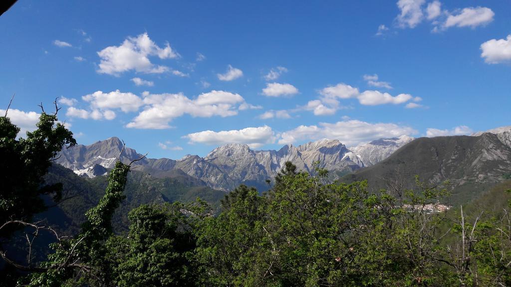 Hotel Il Buongustaio Massa  Esterno foto